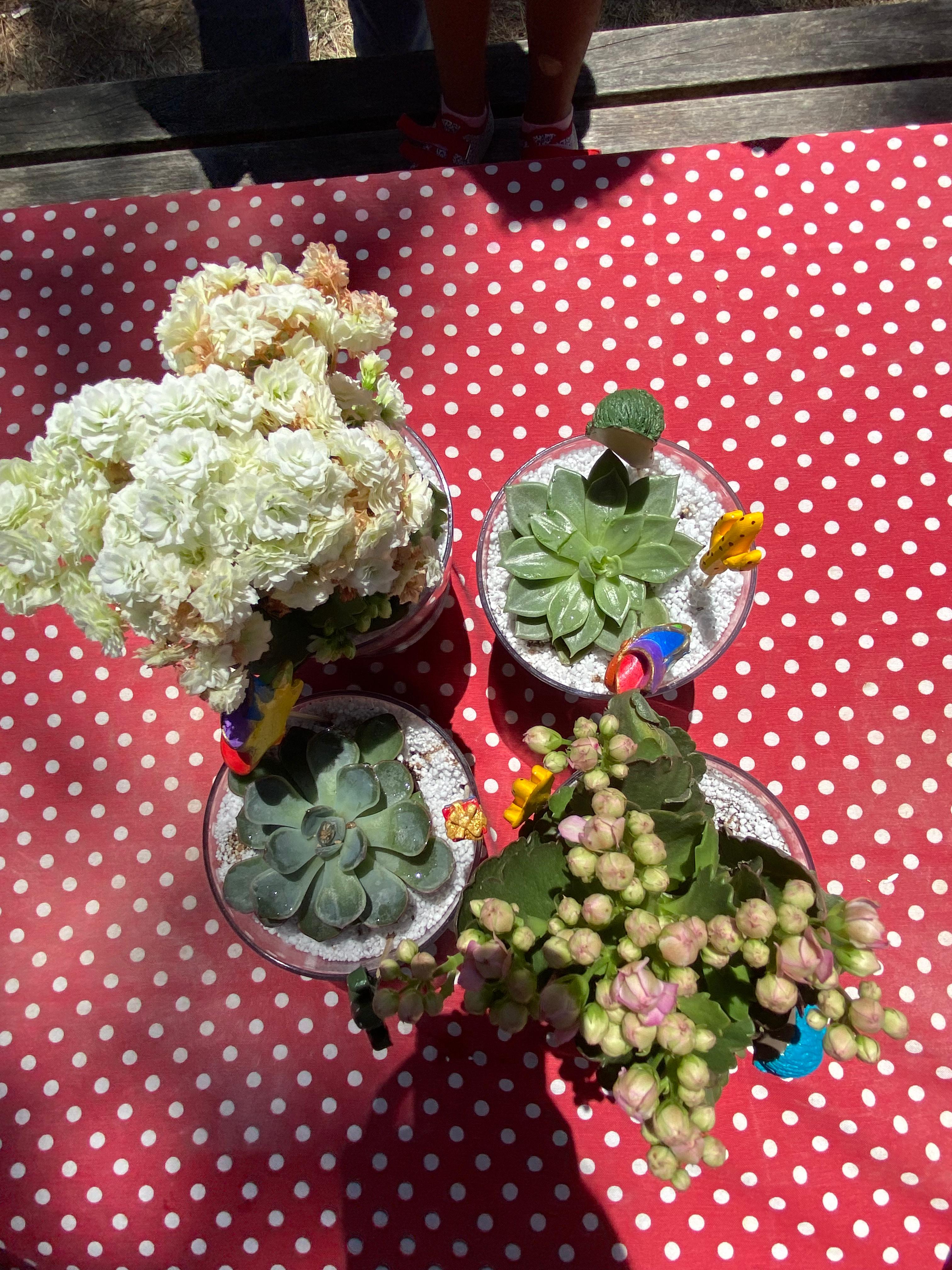 Galatasaray Jimnastik Okulu - Atölye 20